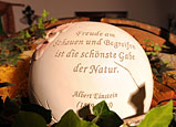 Freude am Schauen und Begreifen ist die schnste Gabe der Natur. Albert Einstein